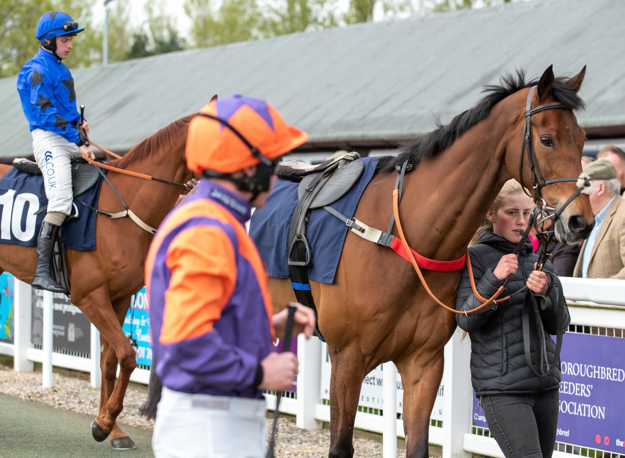 Information for Owners and Trainers at Perth Racecourse