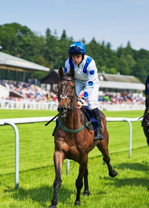 Bet 365 Gold Cup 2023