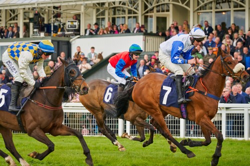 Perth Festival event at Perth Racecourse