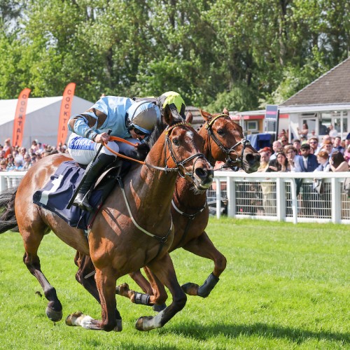 bet365 Gold Cup 2025 Preview