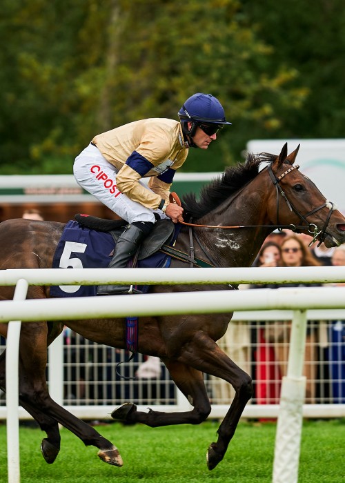 Fwd: perth-races.co.uk SoD