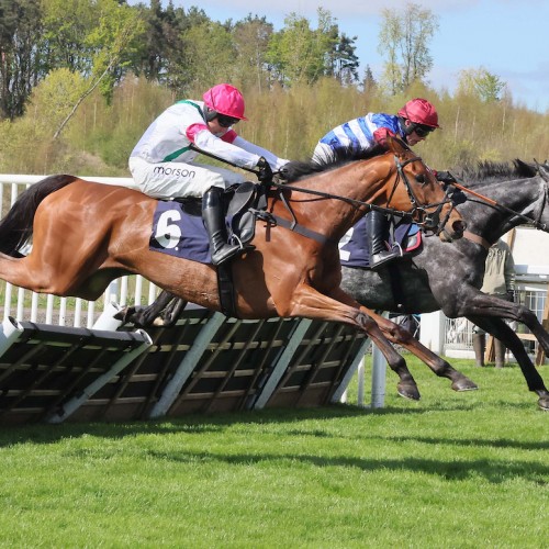 Day 1 Review and Day 2 Preview Perth Festival 2026