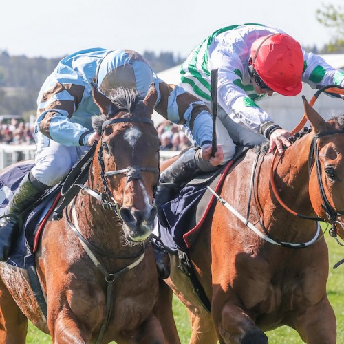 Day 2 Review and Day 3 Preview Perth Festival 2026