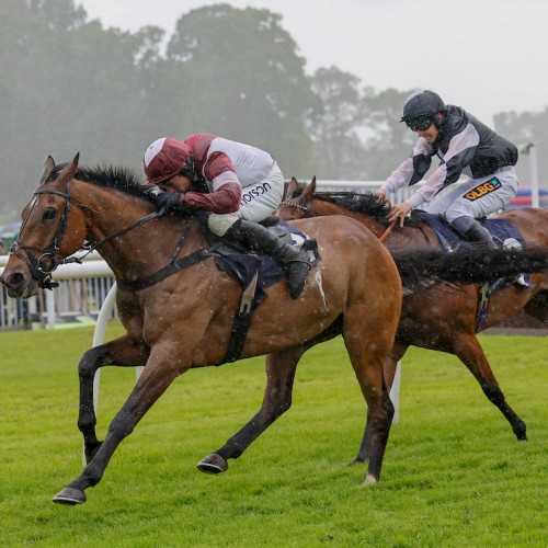 Riskintheground Claims Prestigious Perth Gold Cup