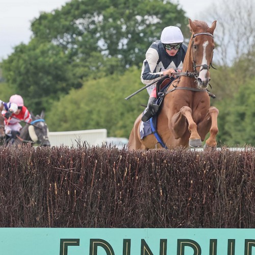 Family Fun and Fantastic Racing Delight Crowds