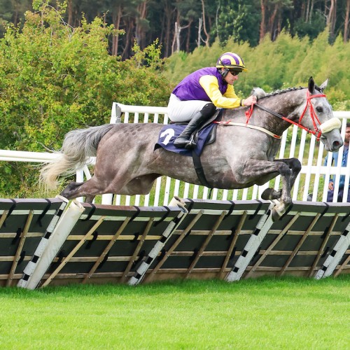 Hughes Chases Fifth Perth Feature-Race Triumph
