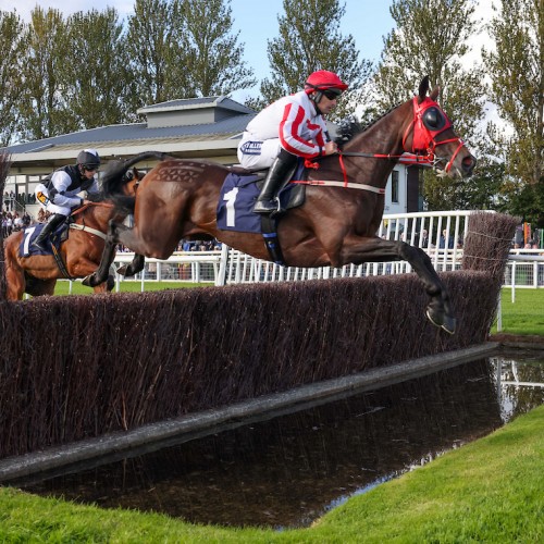 The Real Whacker Powers to Glorious Finale Feature Victory